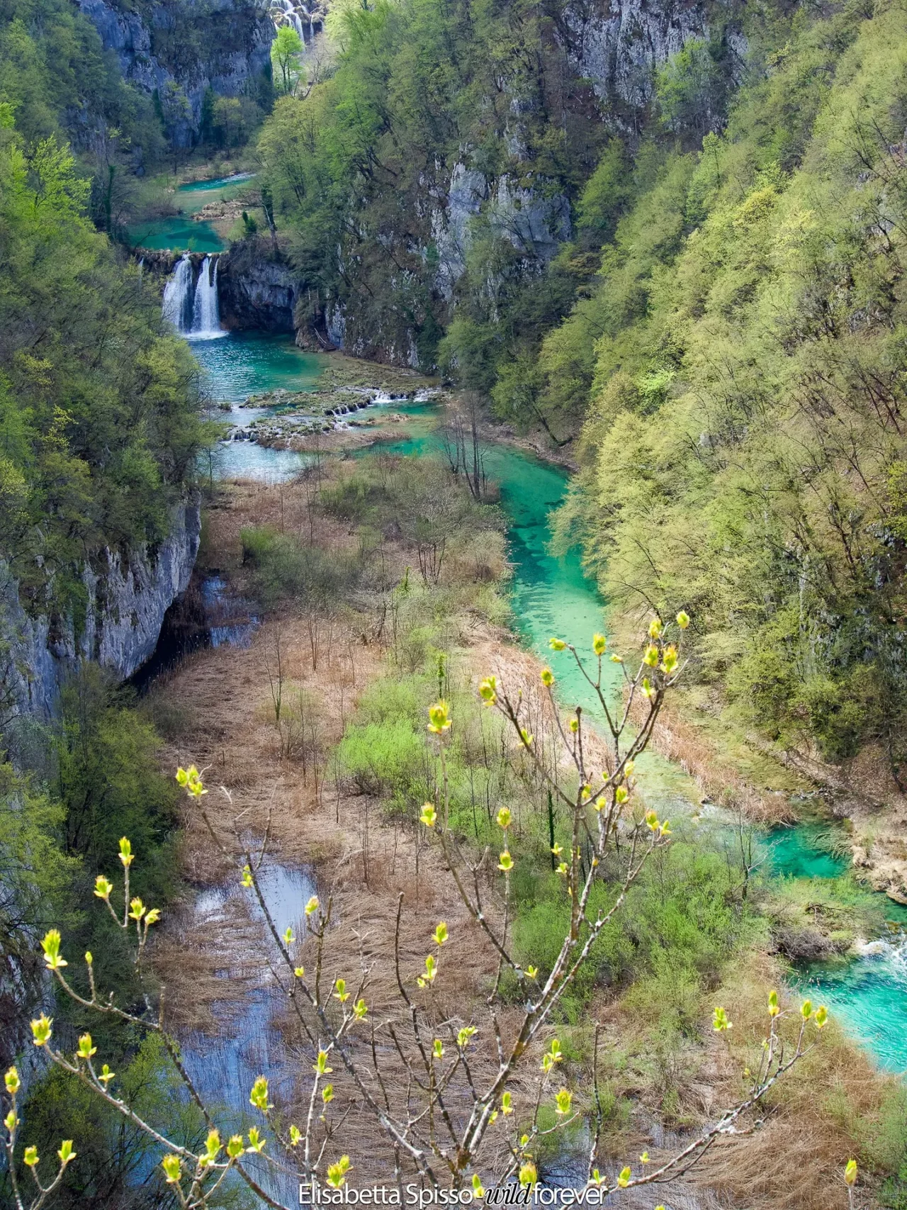 Altri viaggi – fotografia di Elisabetta Spisso